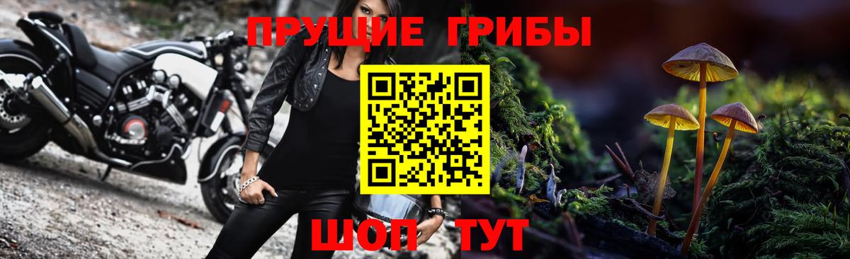 Галлюциногенные грибы Magic Shrooms  Вход с VPN  Заинск 